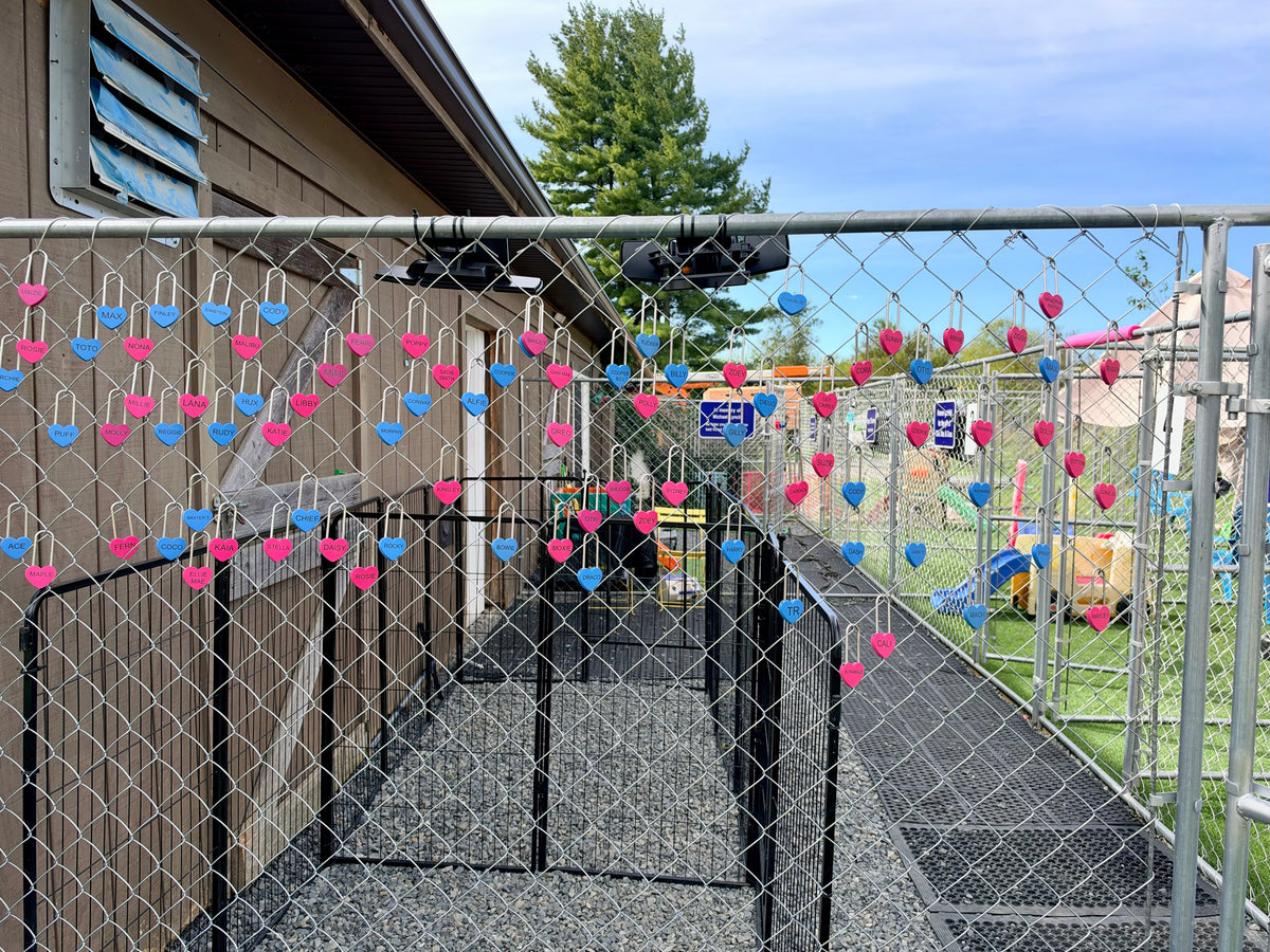 Pink Love Lock