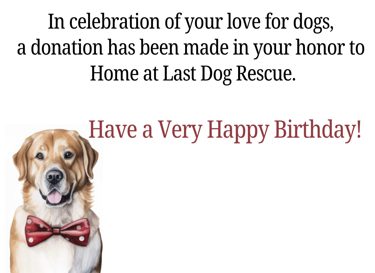 Birthday Donation Card