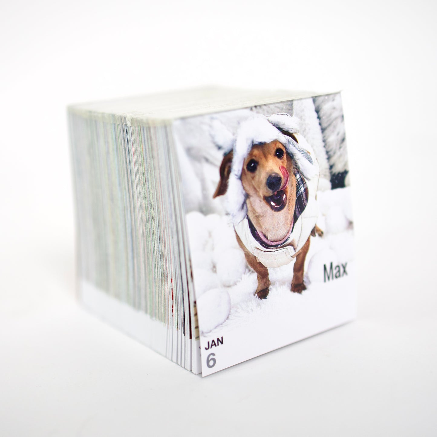 2026 Daily Calendar
