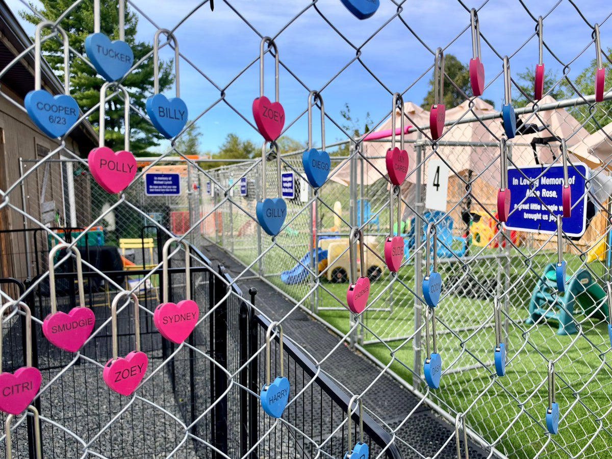 Pink Love Lock
