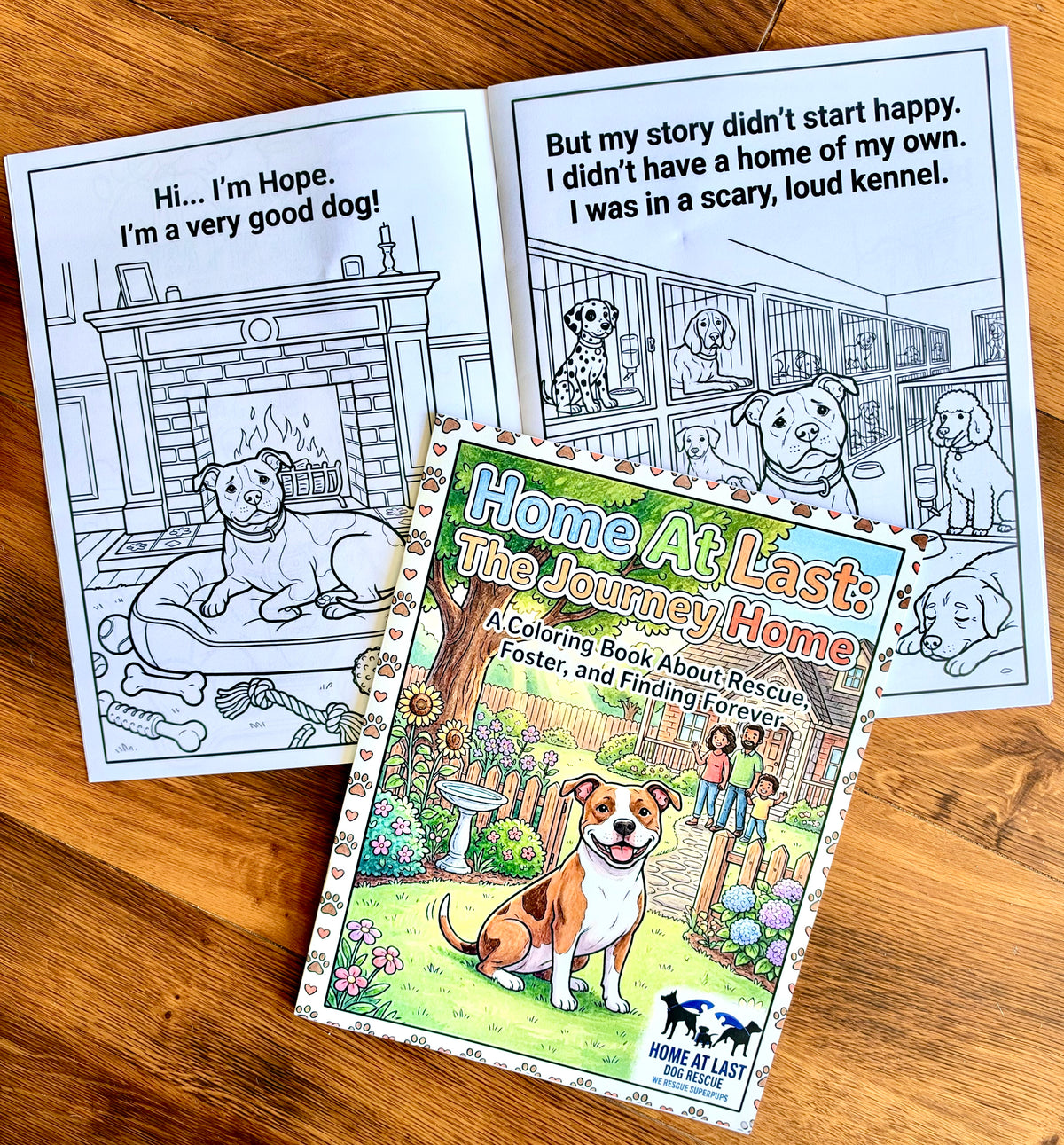 HAL Coloring Book